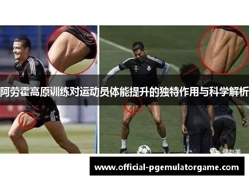 阿劳霍高原训练对运动员体能提升的独特作用与科学解析