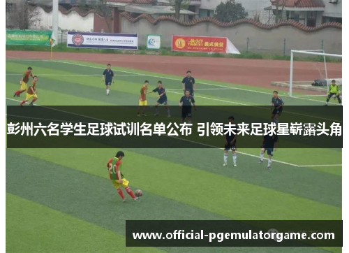 彭州六名学生足球试训名单公布 引领未来足球星崭露头角