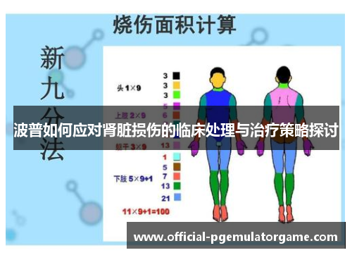 波普如何应对肾脏损伤的临床处理与治疗策略探讨