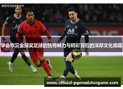 学会欣赏金球奖足球的独特魅力与精彩背后的深厚文化底蕴