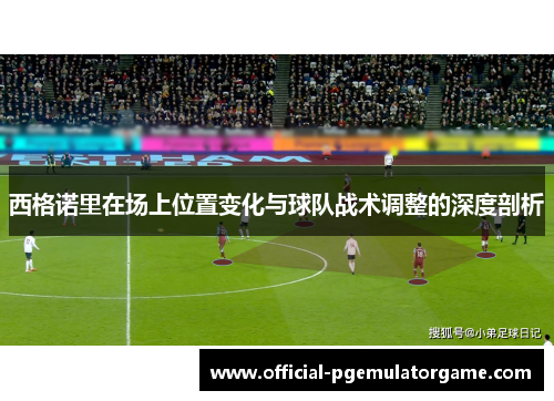 西格诺里在场上位置变化与球队战术调整的深度剖析