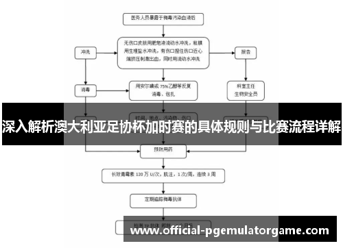 深入解析澳大利亚足协杯加时赛的具体规则与比赛流程详解 深入解析澳大利亚足协杯加时赛的具体规则与比赛流程详解