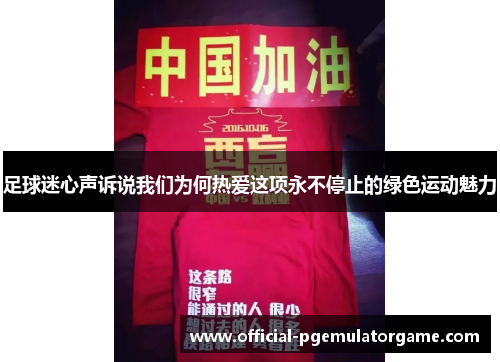 足球迷心声诉说我们为何热爱这项永不停止的绿色运动魅力 足球迷心声诉说我们为何热爱这项永不停止的绿色运动魅力
