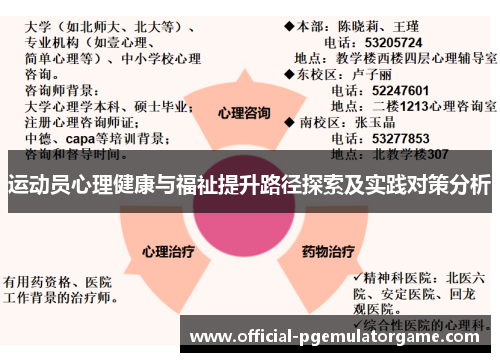 运动员心理健康与福祉提升路径探索及实践对策分析