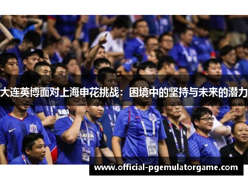 大连英博面对上海申花挑战：困境中的坚持与未来的潜力