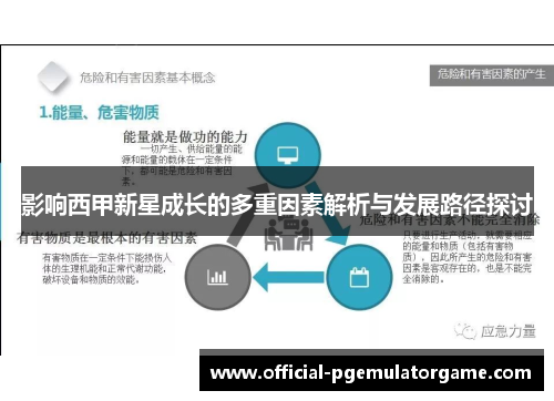影响西甲新星成长的多重因素解析与发展路径探讨