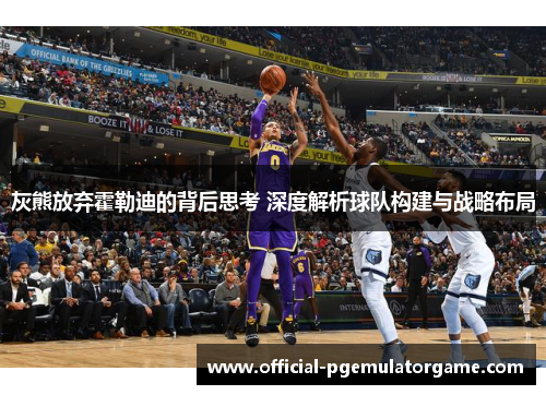 灰熊放弃霍勒迪的背后思考 深度解析球队构建与战略布局