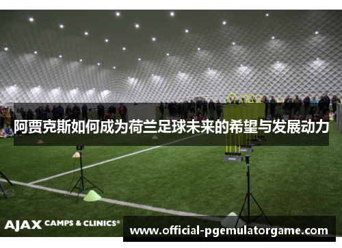 阿贾克斯如何成为荷兰足球未来的希望与发展动力